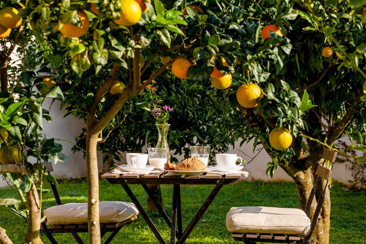 Tenuta Santa Caterina Portoferraio Exterior foto
