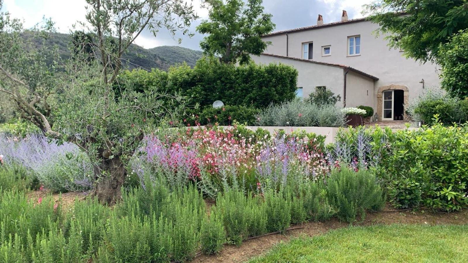 Tenuta Santa Caterina Portoferraio Exterior foto